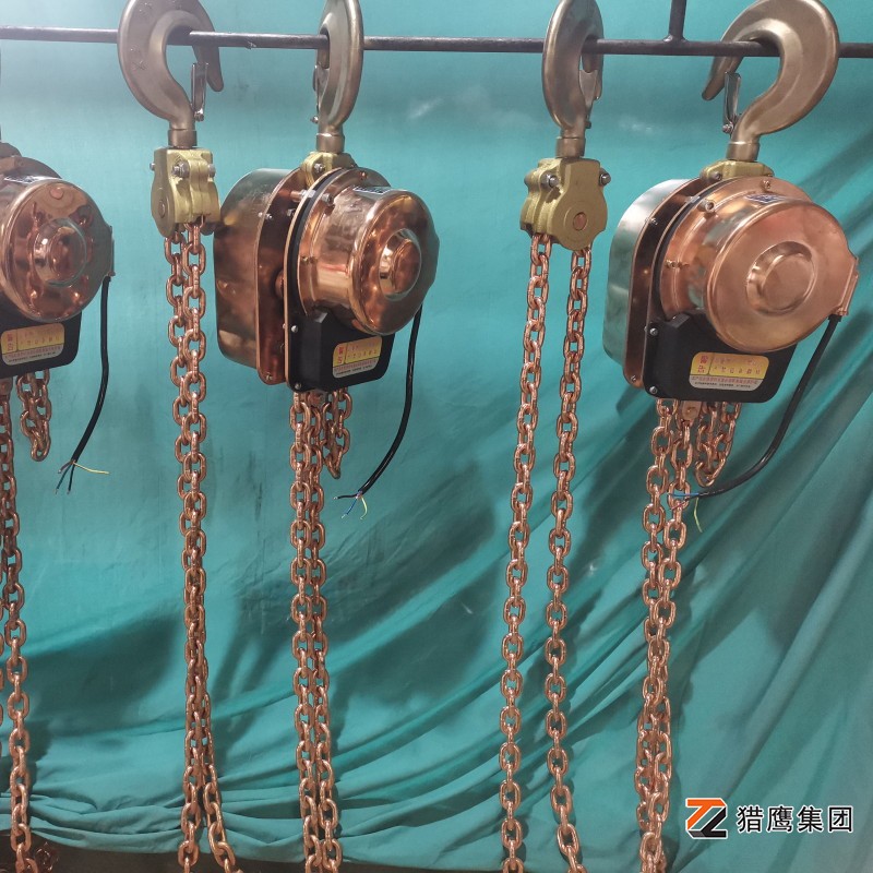 安全高效的起重設備——電動防爆葫蘆解析